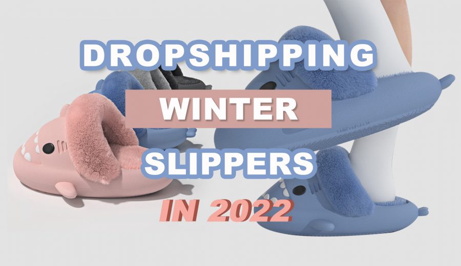 Dropshipping Winter Slippers in 2022