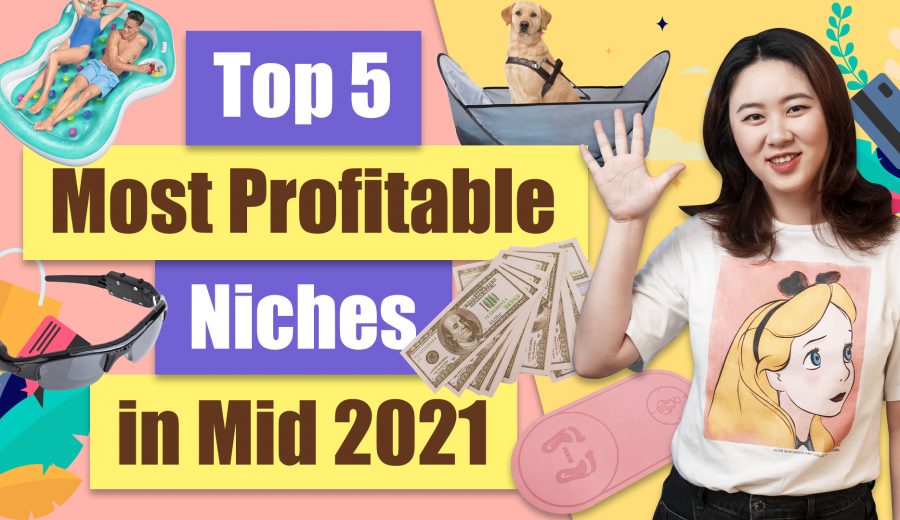Top 5 Most Profitable Dropshipping Niches in Mid 2021